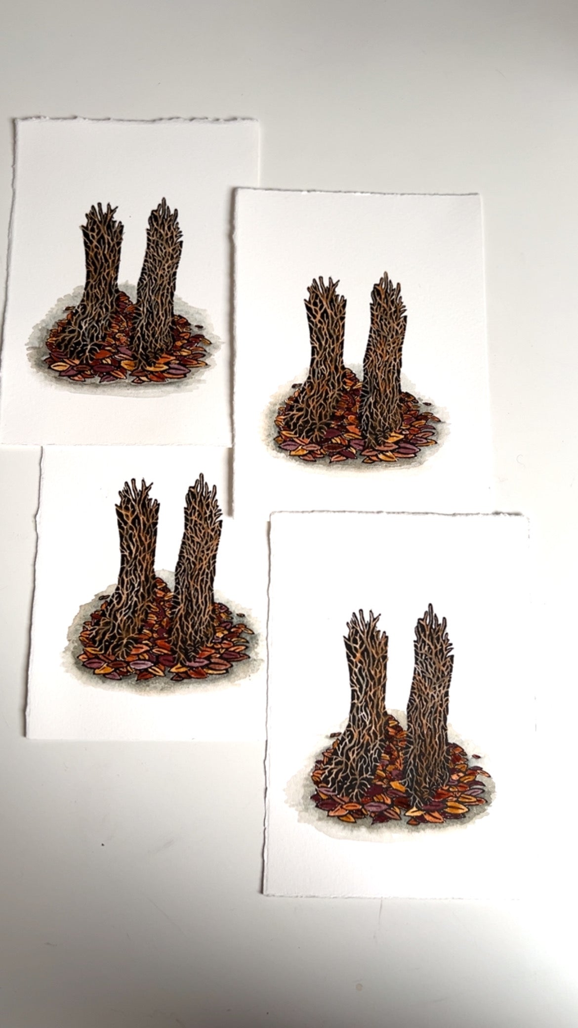 Rooted Original Wood Engraving & Watercolour Print