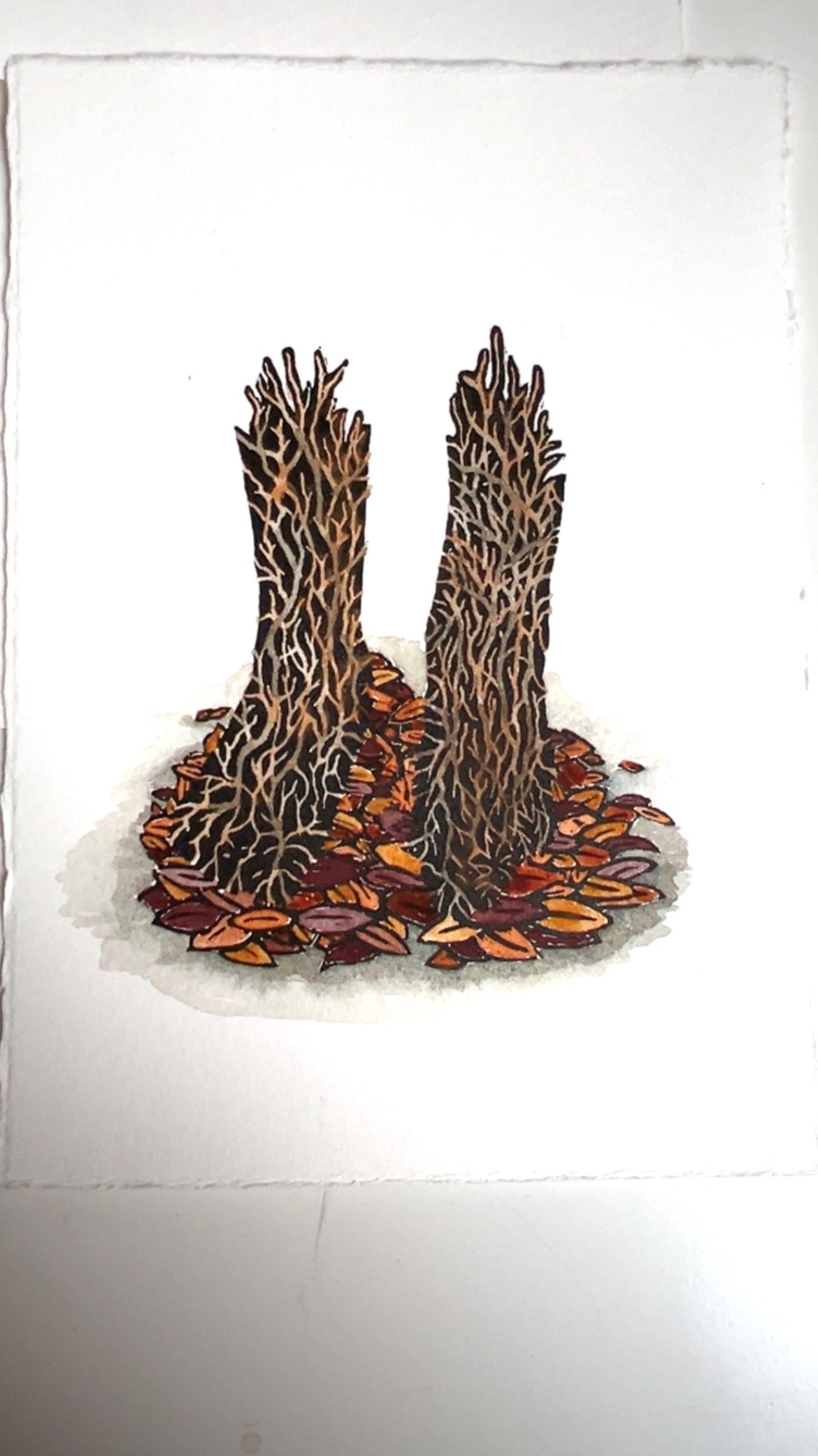 Rooted Original Wood Engraving & Watercolour Print