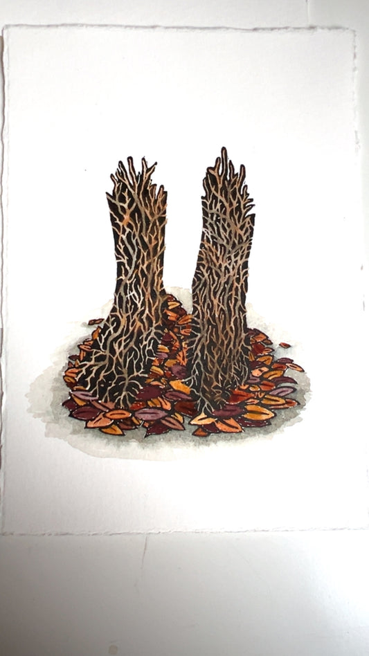 Rooted Original Wood Engraving & Watercolour Print