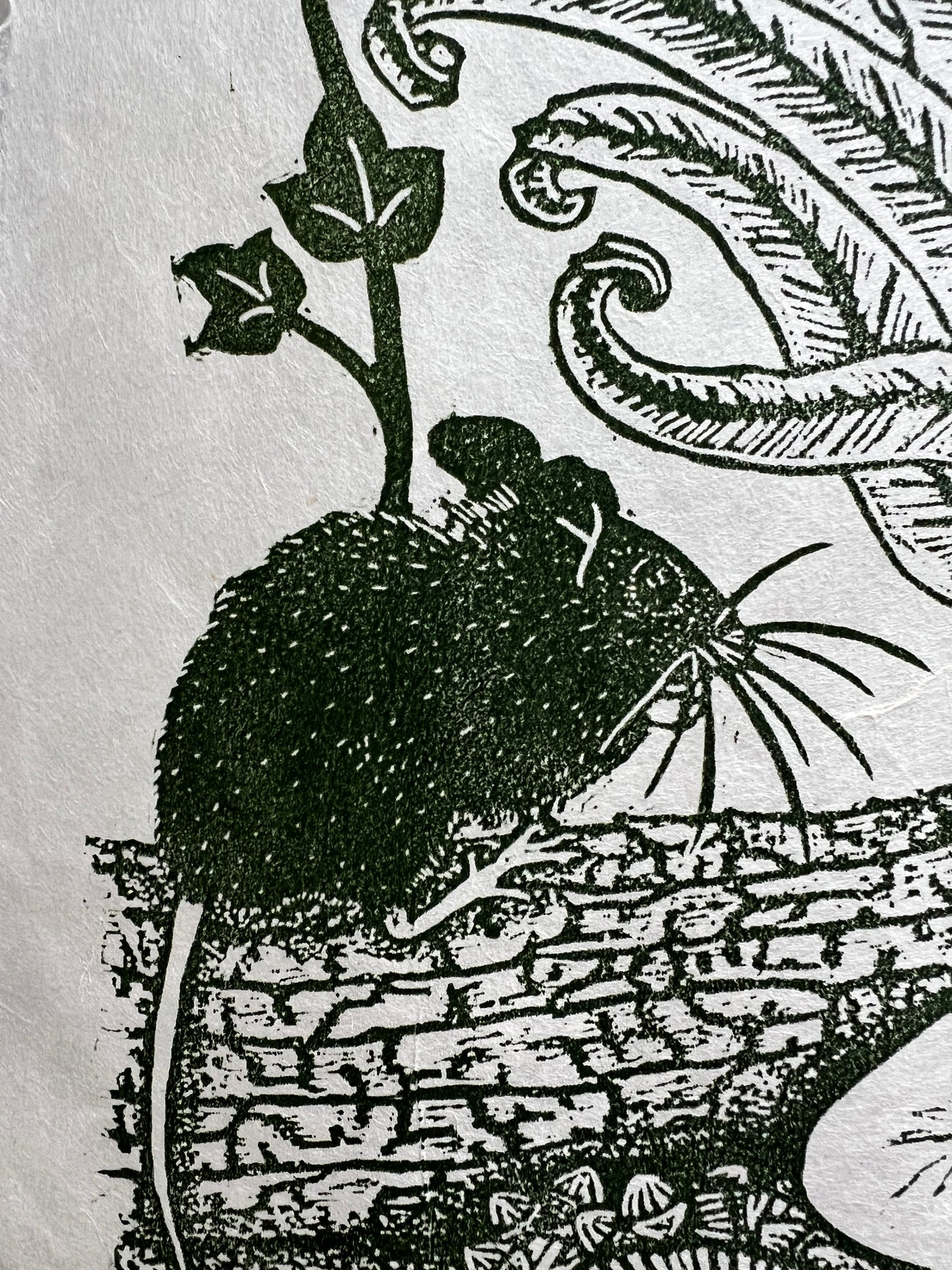 Framed The Ancient Woodland Is My Home Original Lino Print